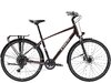 Trek Verve SO EQ XXL Dark Carmine